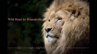 Wild Music - Wild Heart by Brunuhville