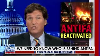 Tucker Carlson: Antifa is back in force