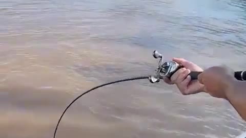 Pescador mais cágado que já vi