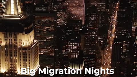 🦉🌃 The Mystery of Bird Migration 🏙️