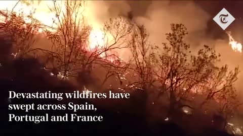 Wildfires rage in Spain, France and Portugal as heatwave sweeps across Europe