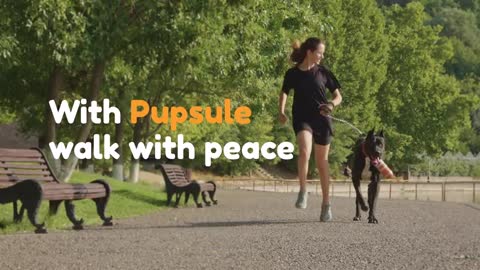 Pupsule: All-in-One Solution To Clean Up Dog Poop