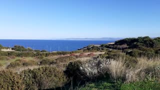 Amazing Sardinian mediterranean scrub