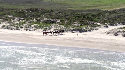 Horseback Riding on Beach, Countryside Behind