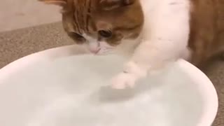 when you want to swim but Fear of water