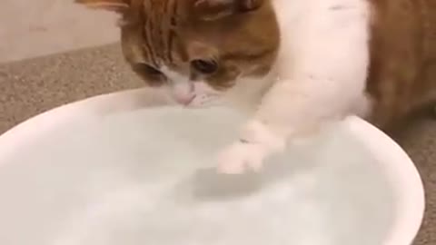 when you want to swim but Fear of water