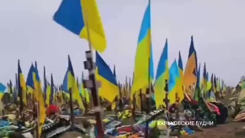 New military cemetery in Kharkov. There are no losses.