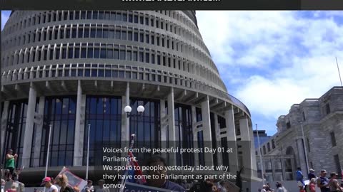 New Zealand anti-vaccine mandate PROTESTORS interviewed in Wellington