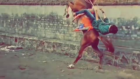 Horse riding