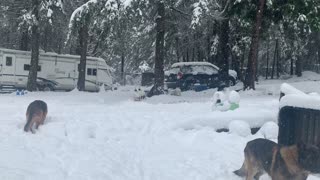 Still Snowing in the Sierra