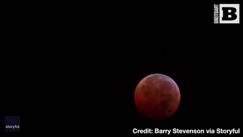 “RED” MOON RISING: Videos Capture Election Day Lunar Eclipse