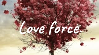Love Force