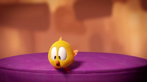 Where's Chicky? Funny Chicks 2022 | Baby Chicky