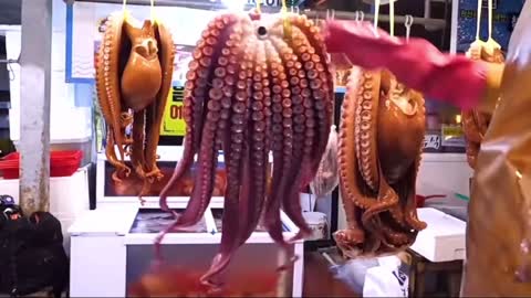 fresh octopus