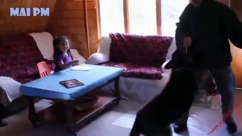 amazing dogs which never allow kids to be even touched by others