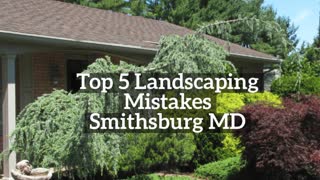 Top 5 Landscaping Mistakes Smithsburg MD Washington County Maryland