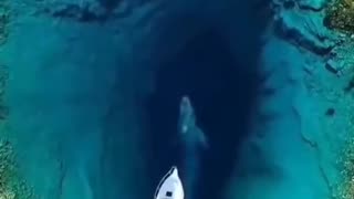 Blue whale sound