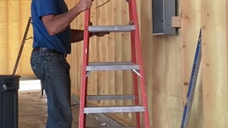 Helpful Raccoon Inspects Electrical Work