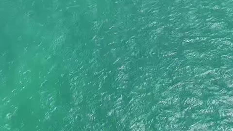 Let's go parasailing in theFlorida Keys