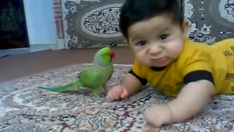 Baby playing with beautiful parrot 🦜🦜🦜🦜