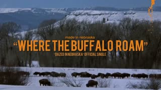 Made In Nebraska- Where The Buffalo Roam