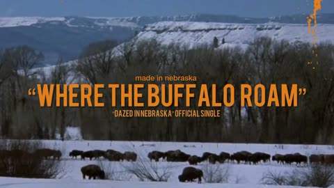 Made In Nebraska- Where The Buffalo Roam