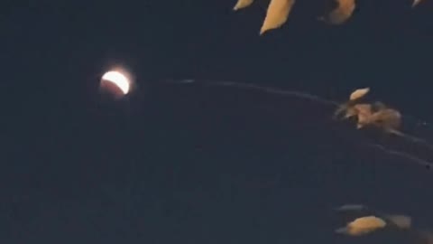 Phenomenon of Lunar Eclipse