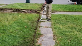 Overgrown SIDEWALK Hasn't Been EDGED In Years | Let's CUT & PEEL