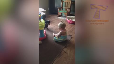 Funny and cute 🐕🐶 dogs and kids