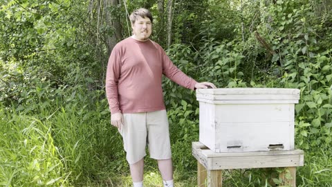 How We Handle Colony Loss in our Treatment-Free Natural Apiary