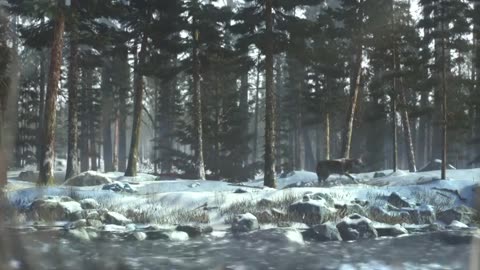 Alone : A Wolf's Winter Animated Short Film