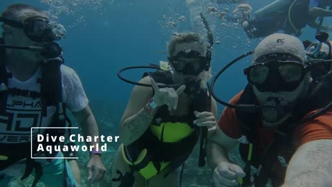 Cancun Underwater Museum dive With newlyweds WOW