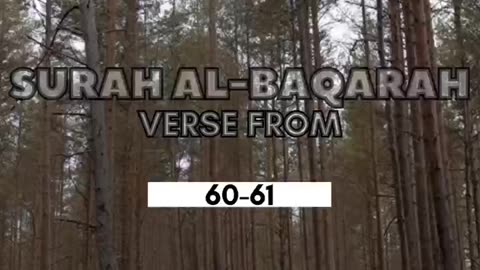 Al Baqarah Verse 60-61 #islam #islamicstatus #baqarah