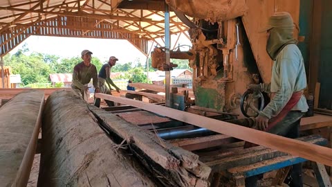 Earn Money !! By Sawing This Red Meranti Log