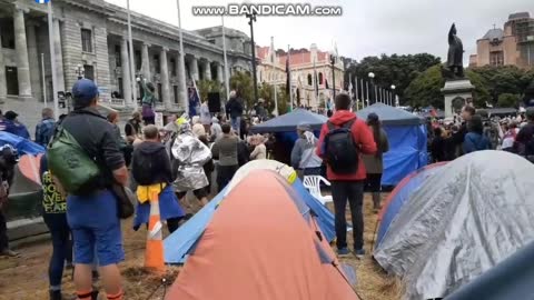 NZ Protestor: "Let them See your PEACE!"