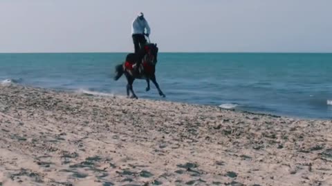 Horse running music video