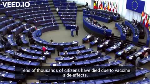 🇭🇷 Mislav Kolakušić addressing the French 🇫🇷 president Emmanuel Macron in the European Parliament 🤩