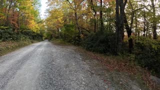 ASMR- A short walk on a gravel road