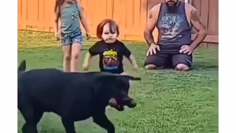 Baby fetches dog bone for dad