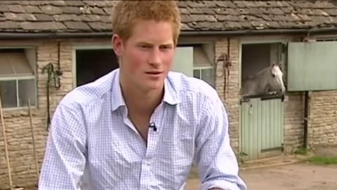 2011 Wild About Prince Harry TLC Documentary