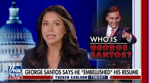 WATCH: Tulsi Gabbard Goes Scorched Earth on Congressman-Elect