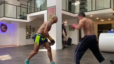 Top G Andrew Tate Sparring Luc Tristan Tate