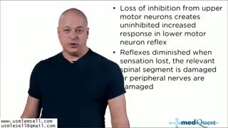 Neurology - Section 2 - MedQuest