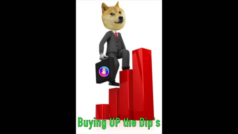 BUYING UP the PulseDogeCoin $PLSB