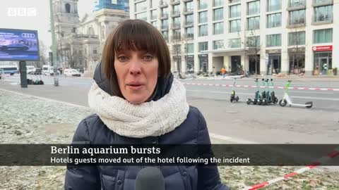 Giant Berlin hotel aquarium with 1,500 fish explodes - BBC News