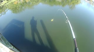 Bass Fishing In Florida, Live Bait