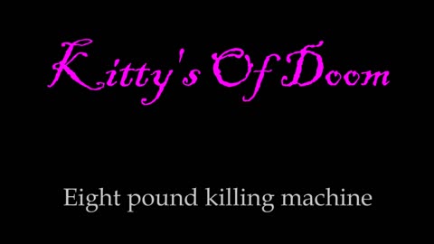 Kitty's Of Doom- 8 pound killing machine