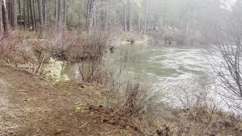 (3X) Triple Speed Hiking – Deschutes River Trail – Central Oregon