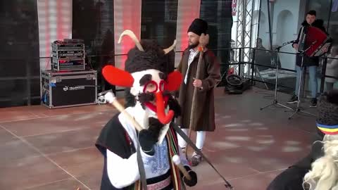 Romanian Bear dance tradition
