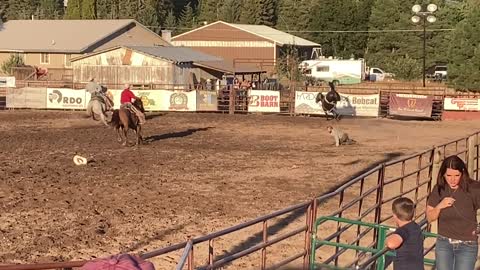 Our Fist Rodeo